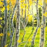 Backlit Aspen