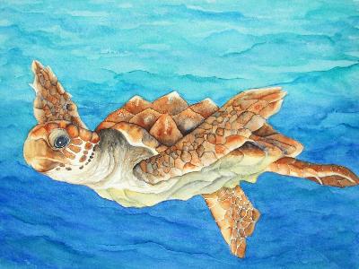 Little Loggerhead