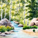 Tranquil Stream