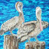 Pelicans