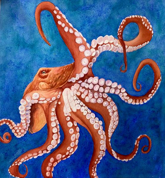 Dance of the Octopus