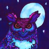 Night Owl