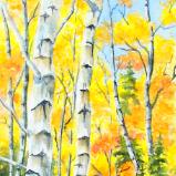 Aspen III