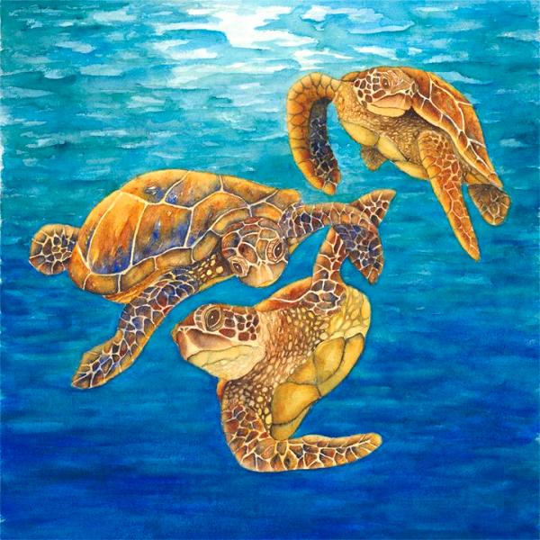 Dance of the Turtles