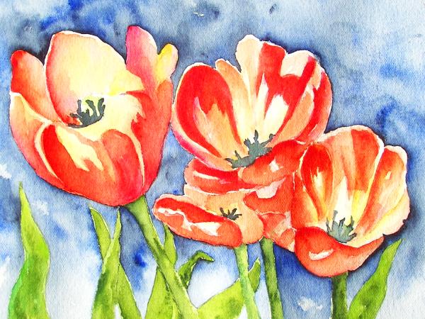 Tulips in Spring