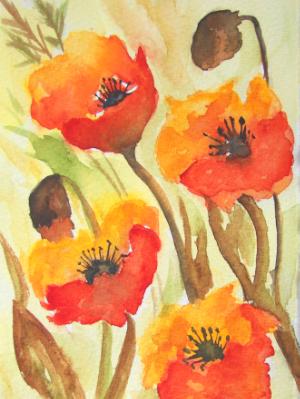 Oriental Poppies