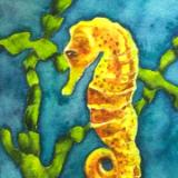 Seahorse