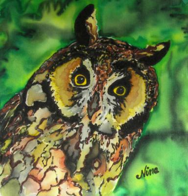 Long-eared Owl on Silk