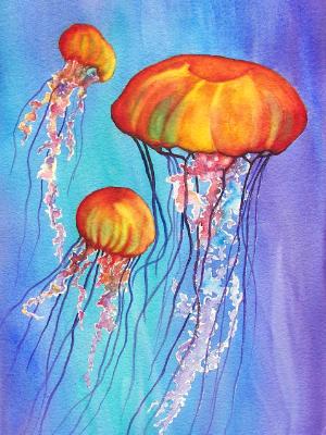 Colorful Jellies
