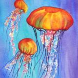 Colorful Jellies